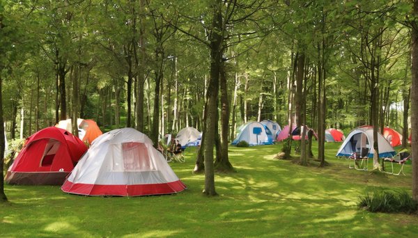 Séjour au Camping Suhiberry : Votre Évasion Authentique au Cœur du Pays Basque